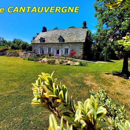 Вилла Gite Cantauvergne Vebret Экстерьер фото