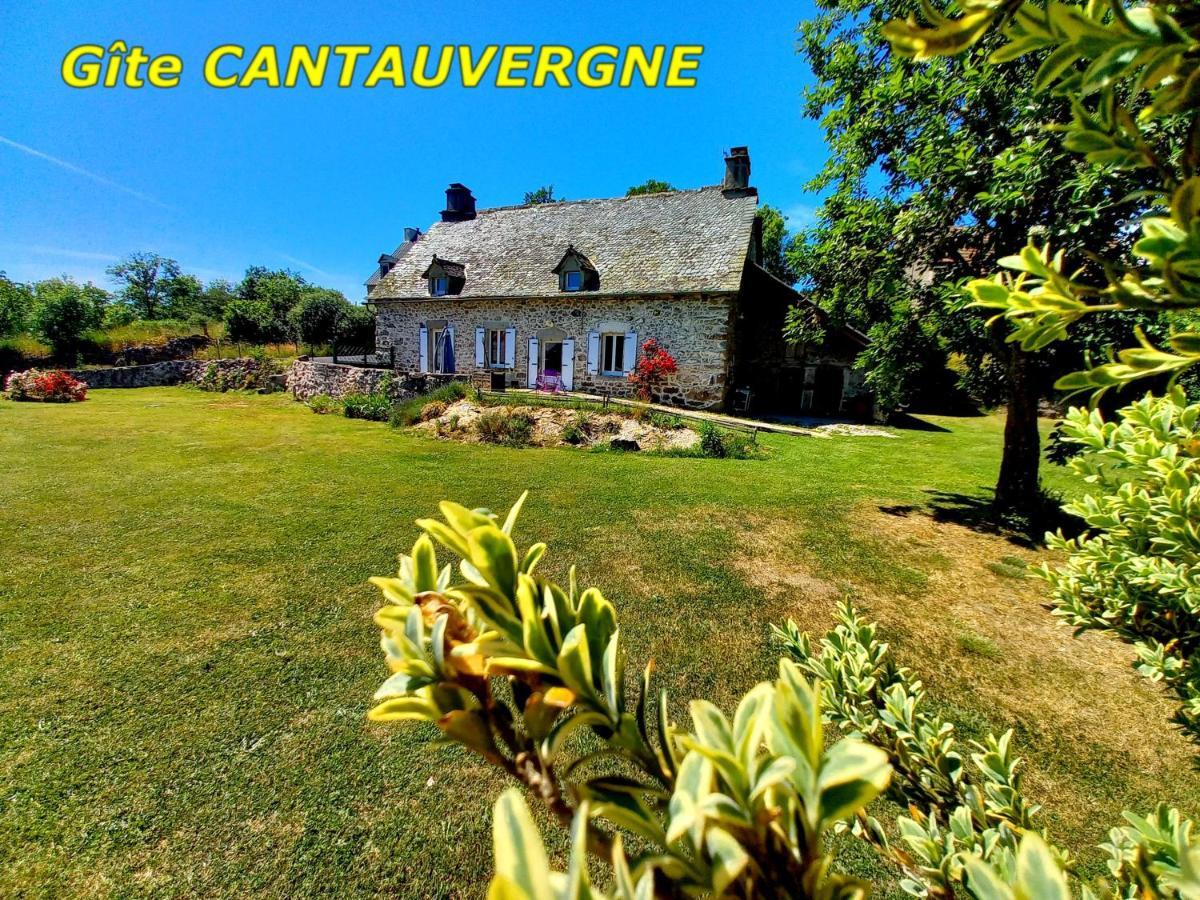 Вилла Gite Cantauvergne Vebret Экстерьер фото