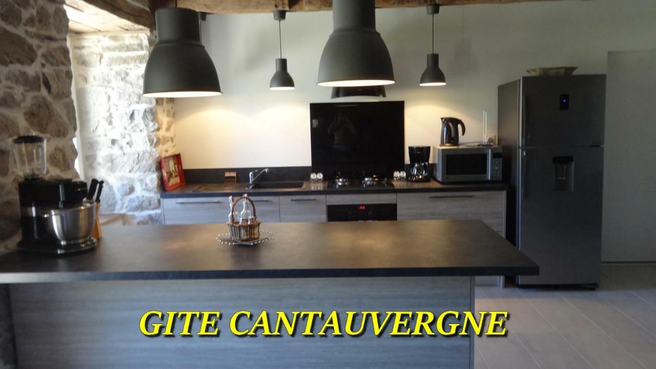 Вилла Gite Cantauvergne Vebret Экстерьер фото