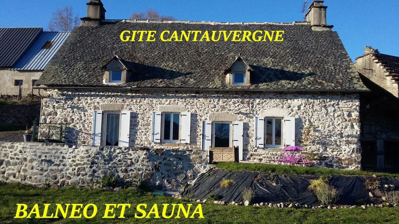 Вилла Gite Cantauvergne Vebret Экстерьер фото