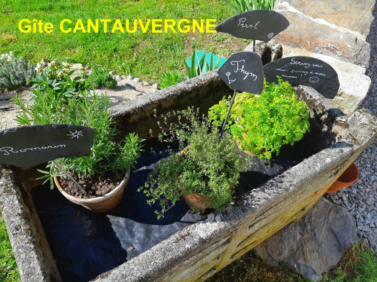 Вилла Gite Cantauvergne Vebret Экстерьер фото